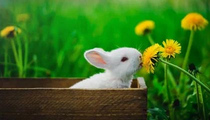 九游游戏在线玩-国际热身赛中国女足爆冷 技术问题引发关注，国足热身赛比赛结果